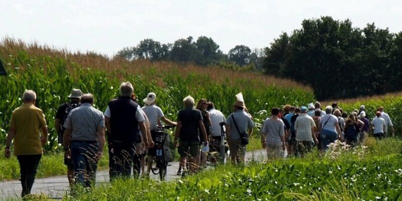 Gruppe wandert auf Feldweg