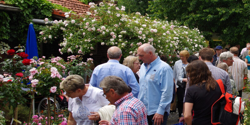 Menschen in einem Rosengarten